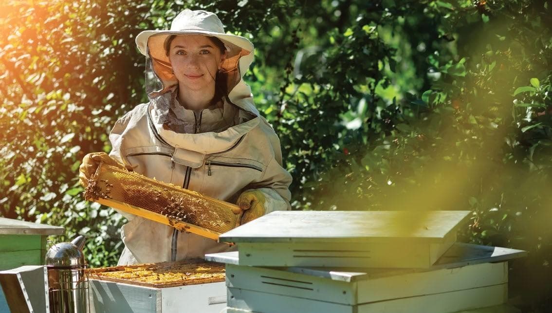 KEEP THE BEES BUZZING