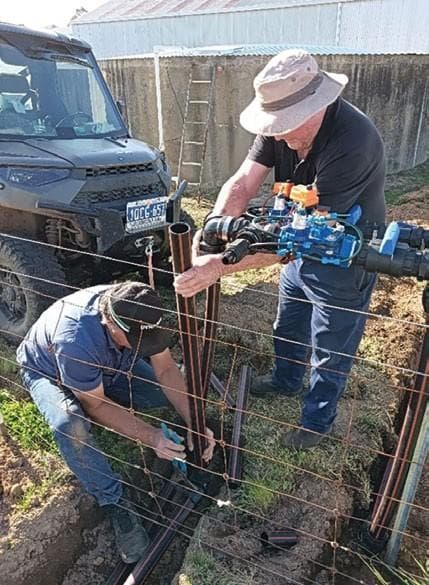 WA narrow orchard systems project update: IRRIGATION
