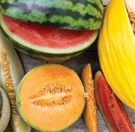 FSANZ PPP roll-out update for WA growers Information summary