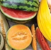 New food safety requirements for horticulture: