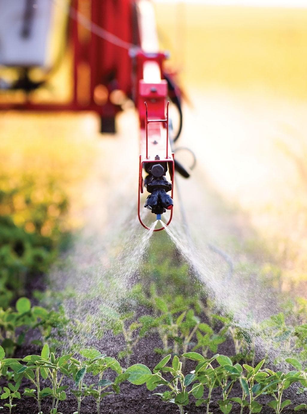 CHLORTHAL-DIMETHYL deregistration unpacked