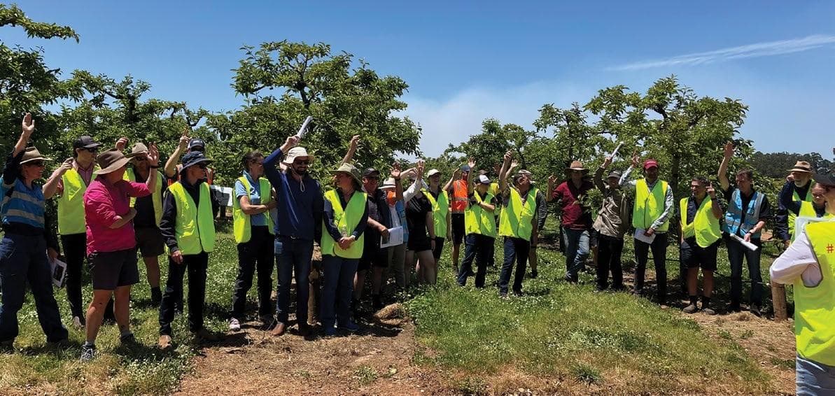 Is your improve or remove strategy IMPACTING YOUR BLOCK PROFIT