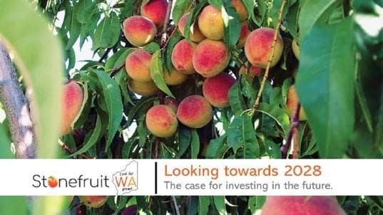 WA STONEFRUIT STRATEGIC LAUNCH
