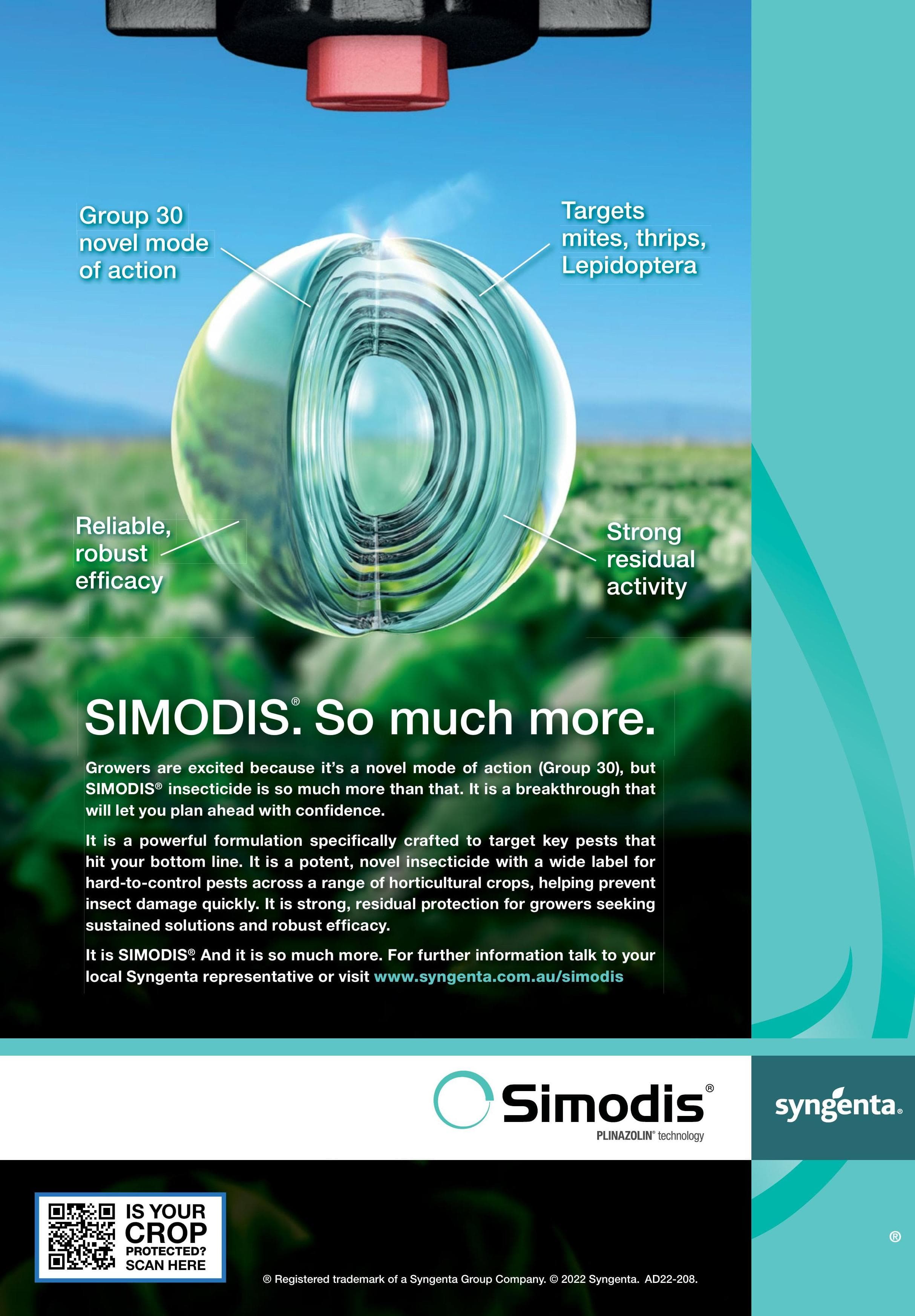 Simodis