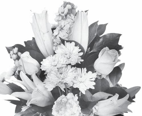 Xin cảm ơn quý ân nhân