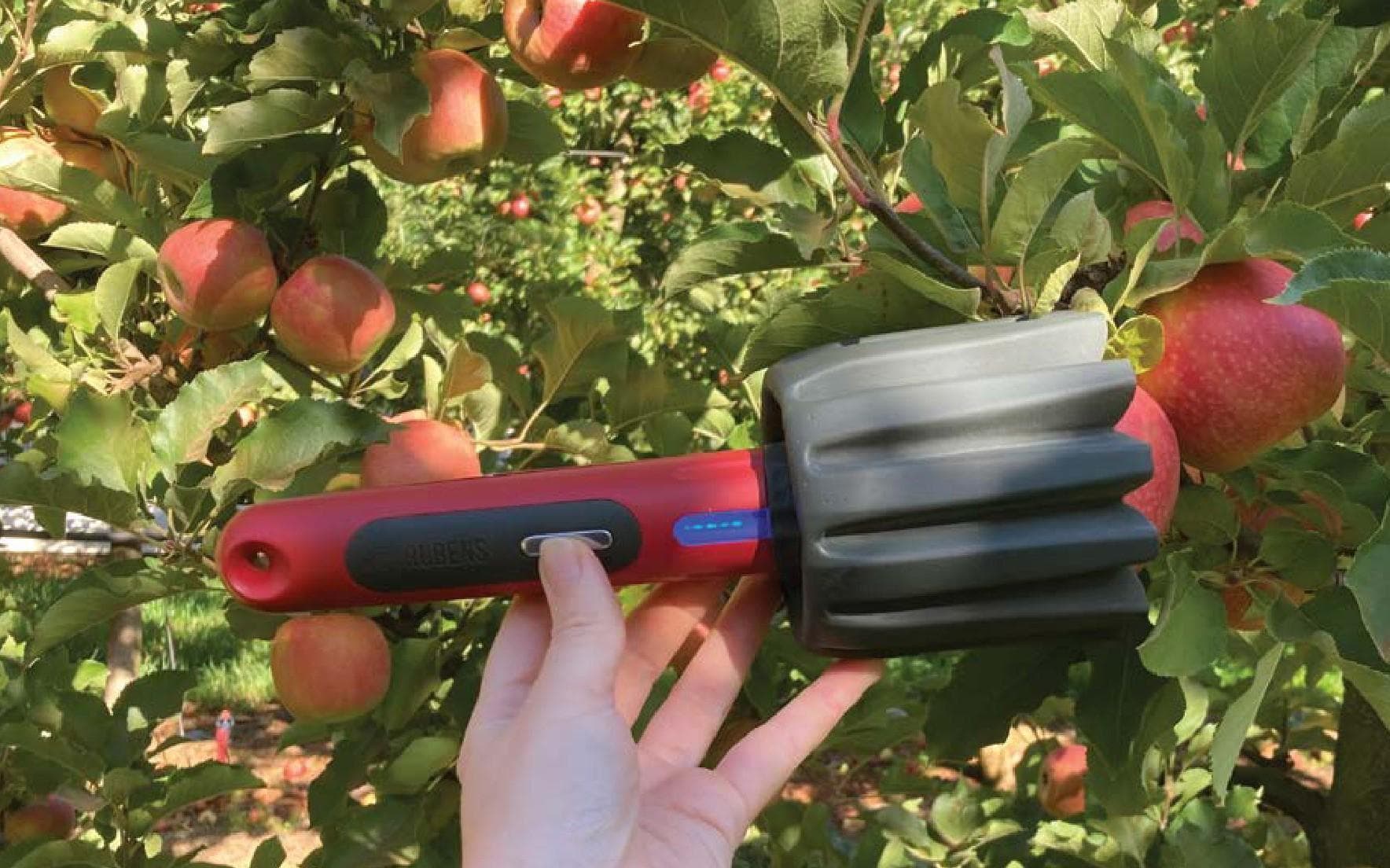 Australian Tech Company Rubens Technologies is the ‘PICK OF THE CROP’