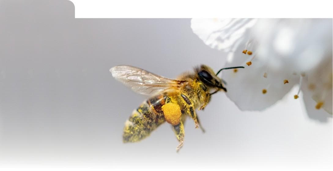 Beating bites and stings