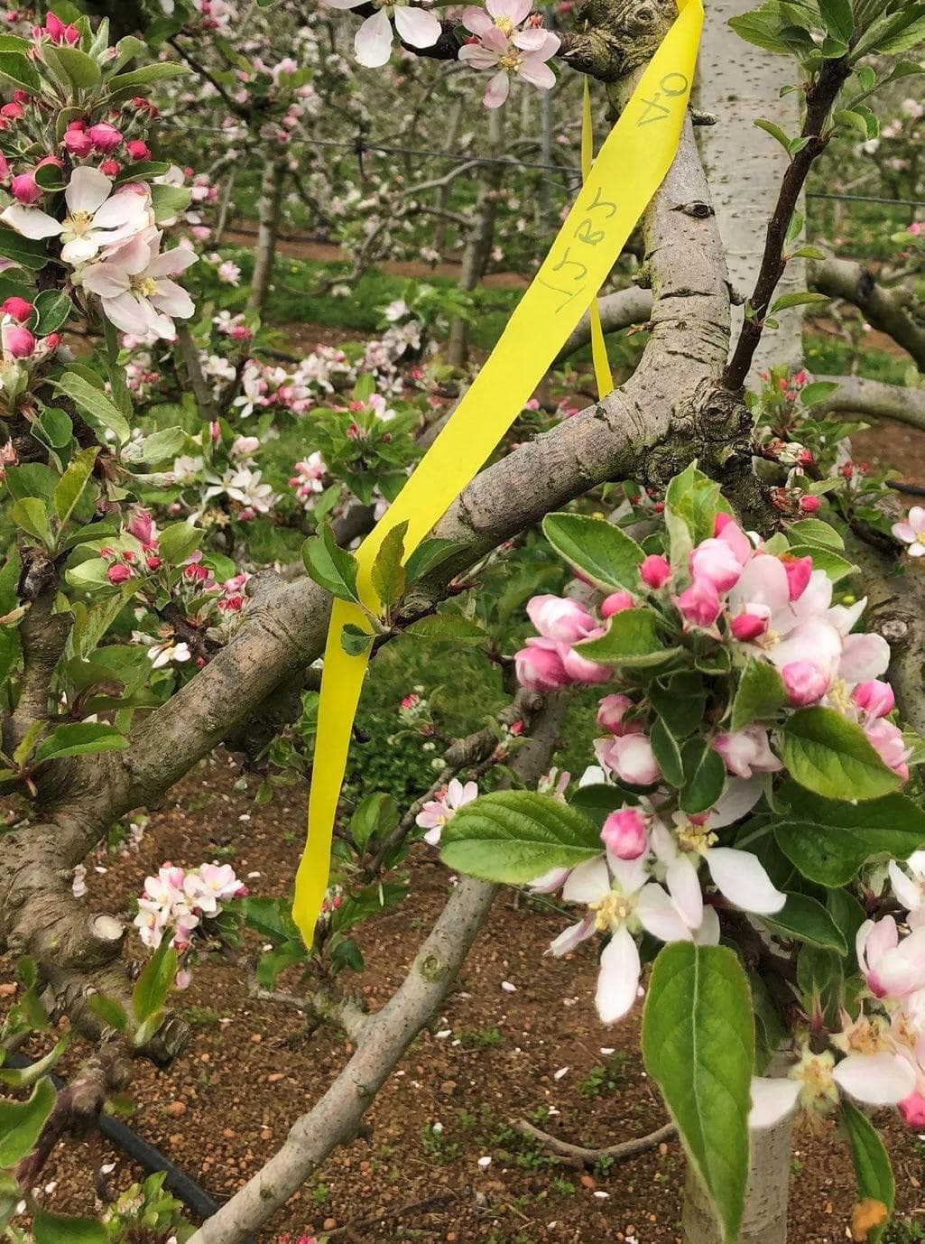 Understanding CLIMATE VULNERABILITY