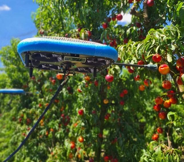 Robotic and drone tech make fruit picking and handling easier