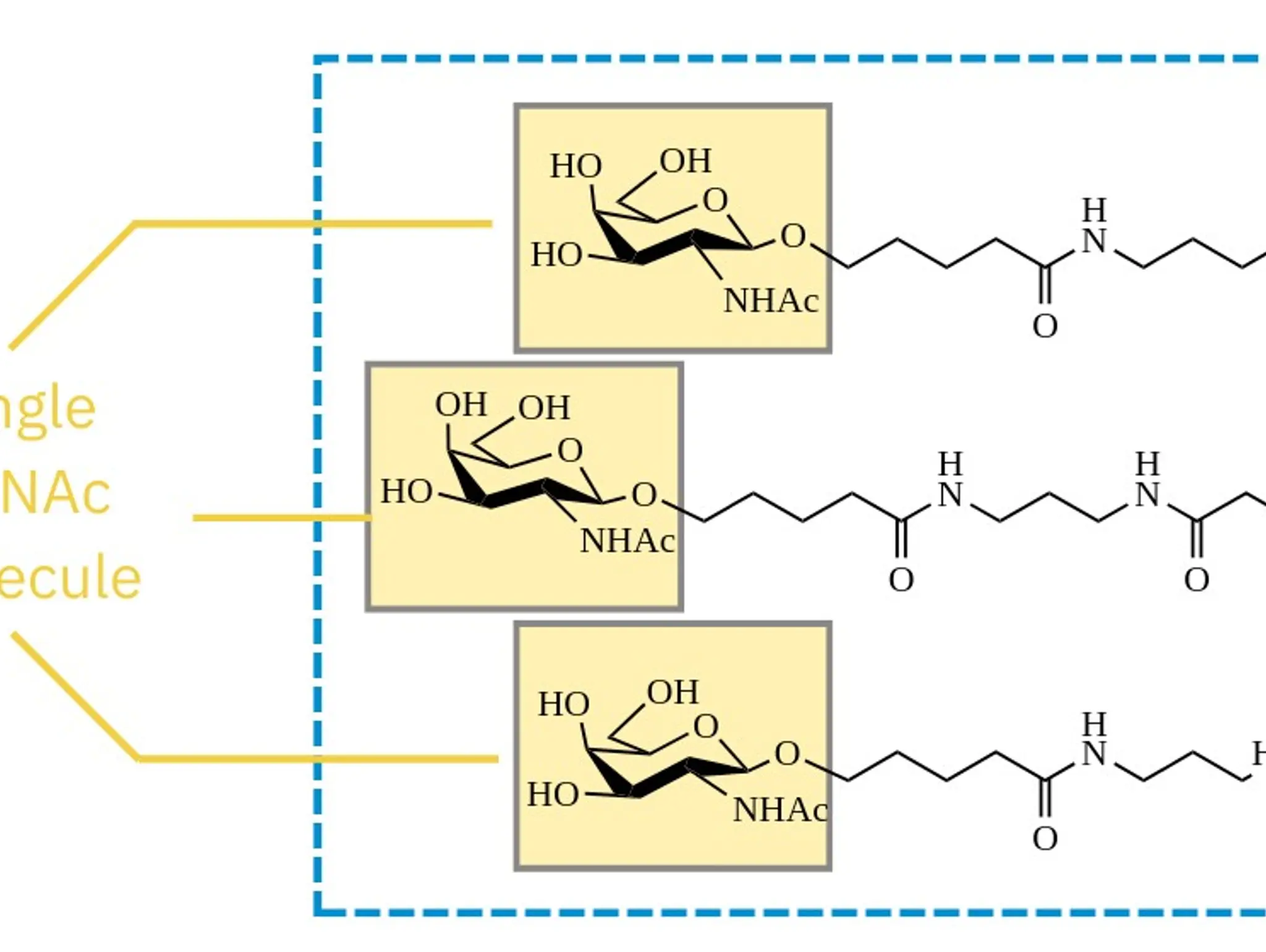 GalNAc: game-changers in developing liver-targeted conjugate therapies