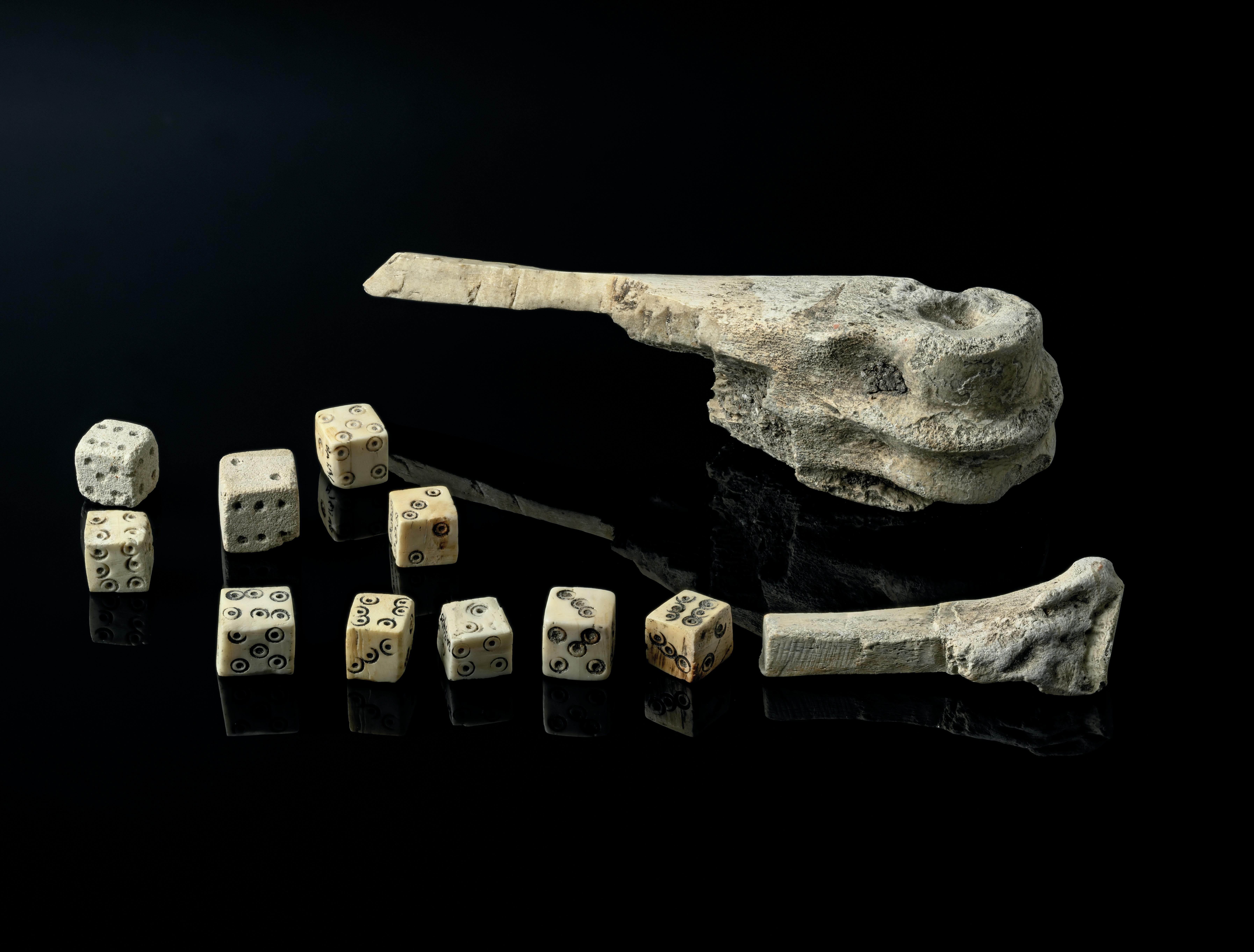 A taste of life aboard