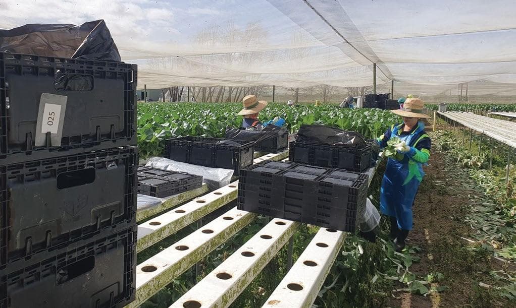 AN OPPORTUNITY TO CONNECT AND LEARN