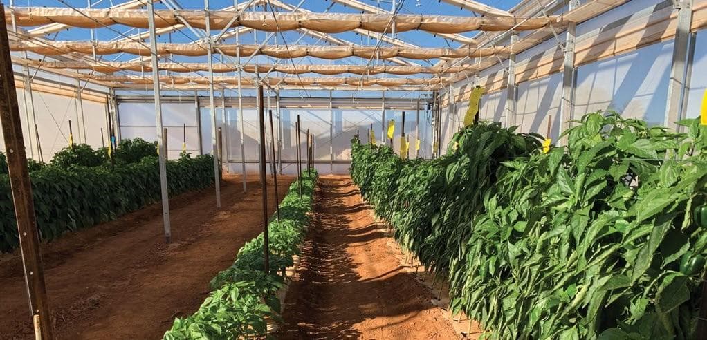 SHADE HOUSE AND RETRACTABLE ROOF production system