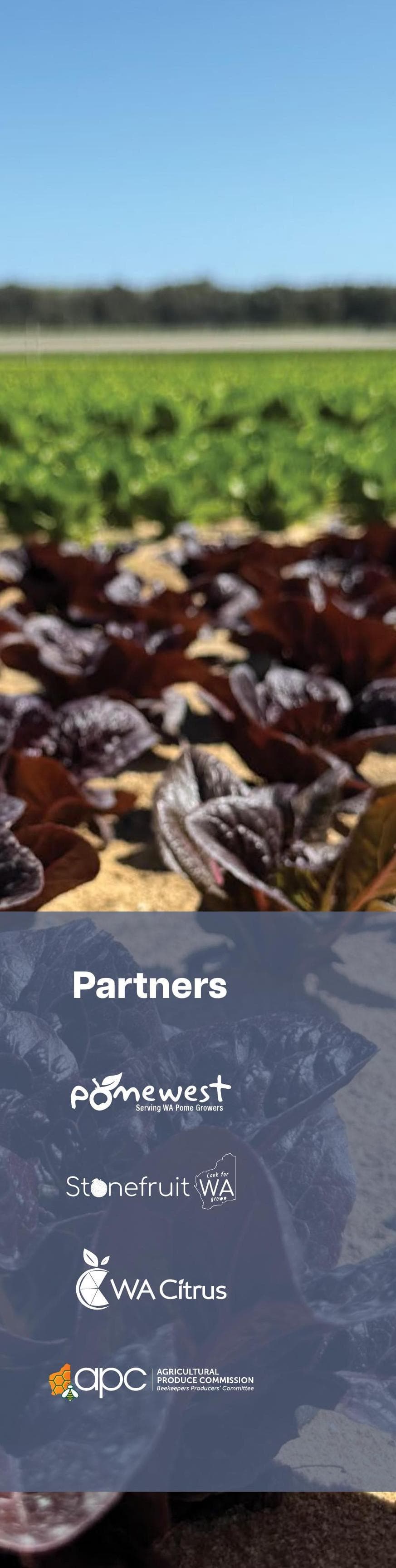 AGRICULTURAL PRODUCE COMMISSION