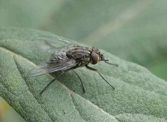 Small actions make a BIG DIFFERENCE