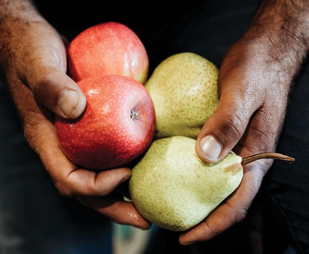 SEASON OF CHANGE Innovation, recognition, and the future of WA pome