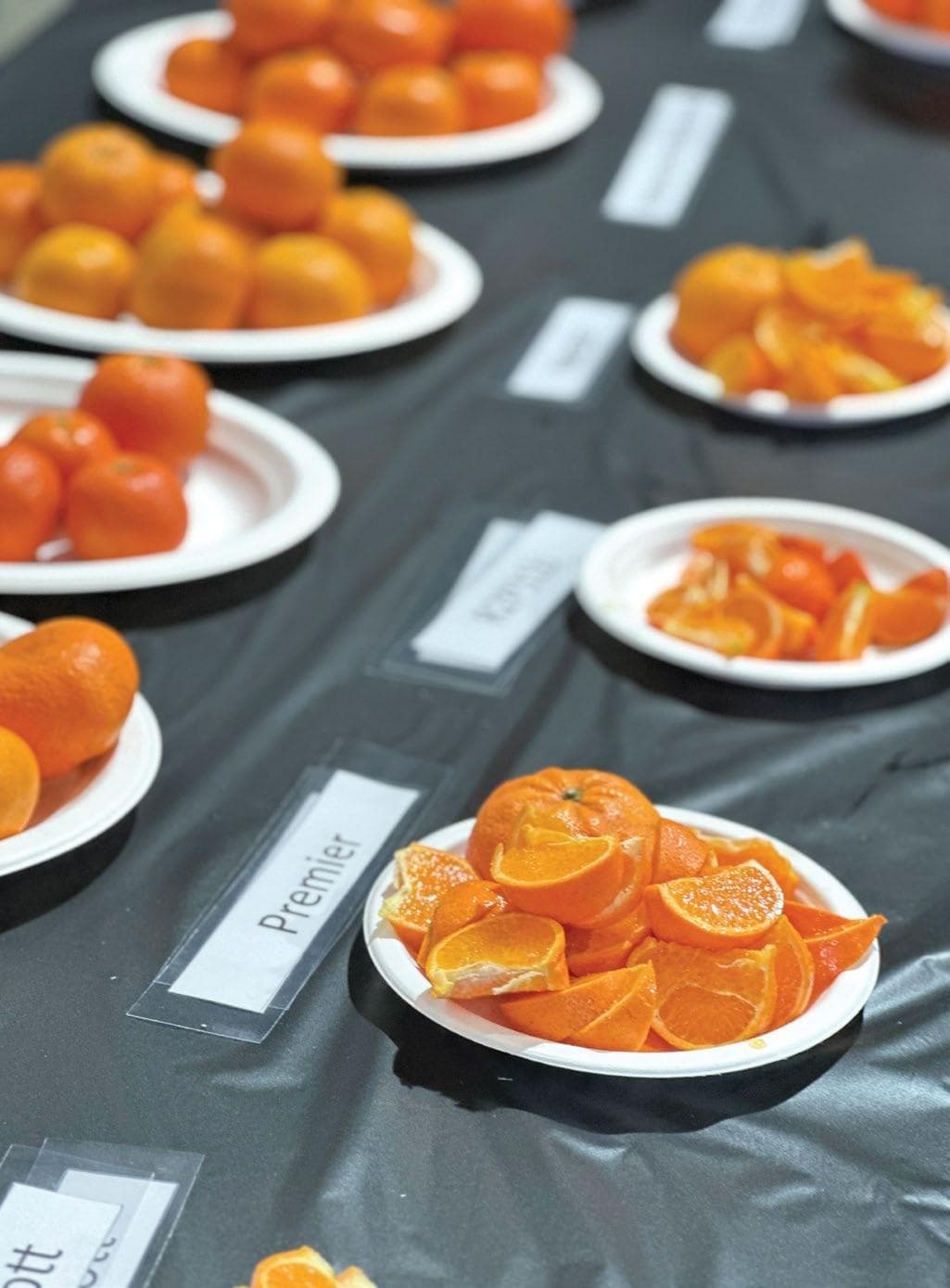 MATCHING MARKET DEMAND