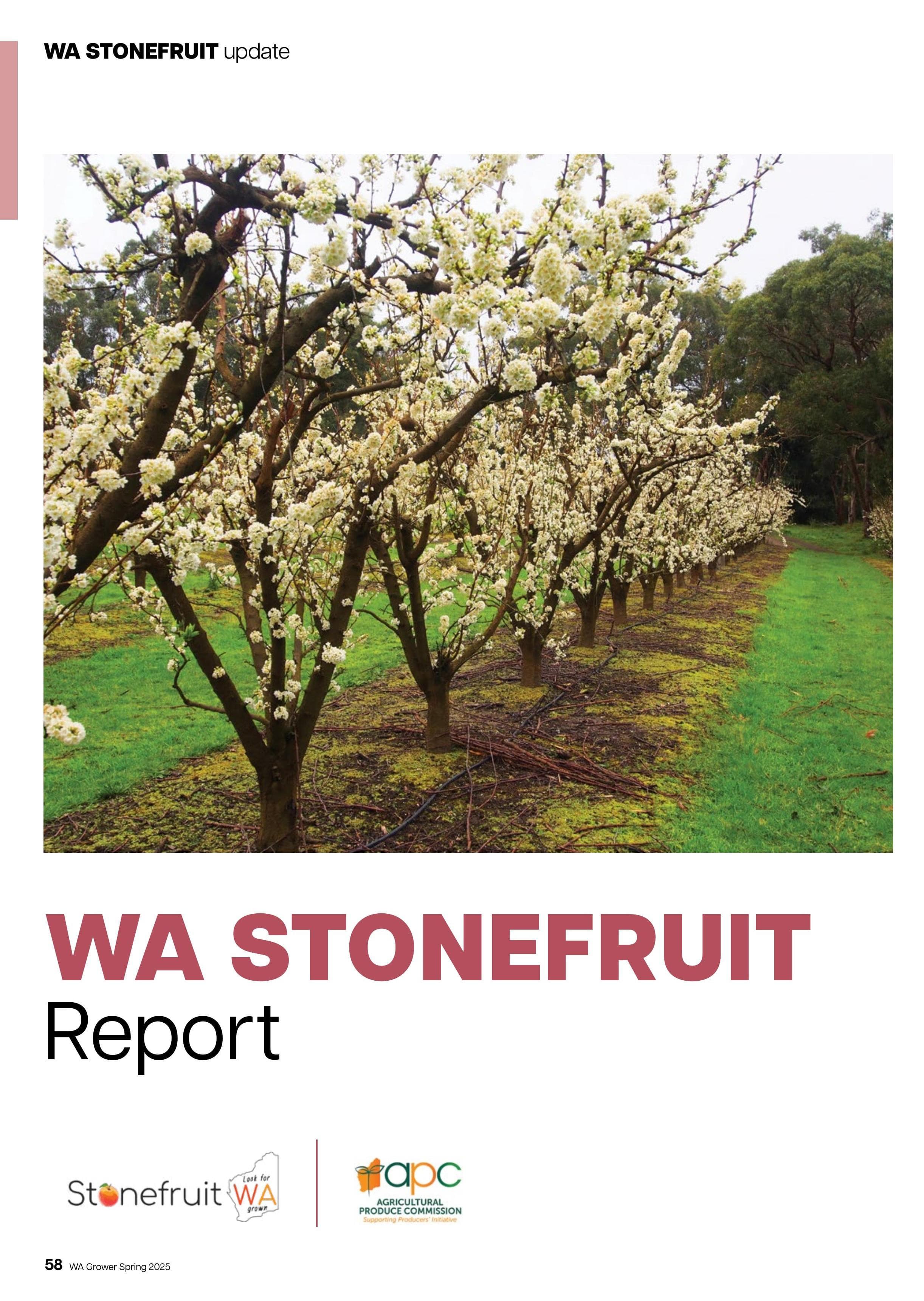 Stonefruit