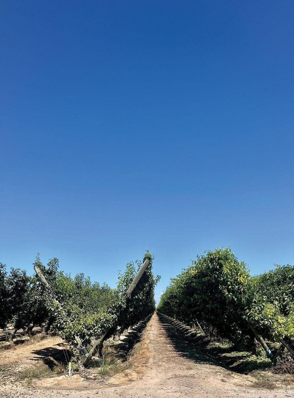 TRAVELLING IN NORTH AMERICA