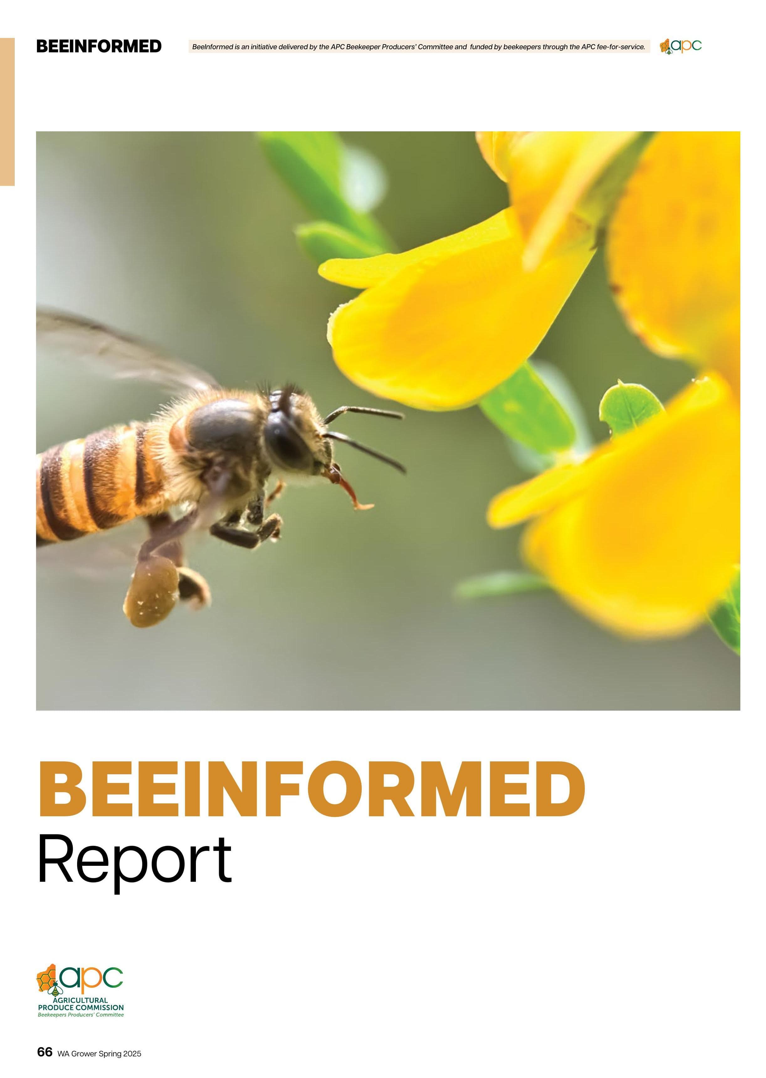 BEEINFORMED Report