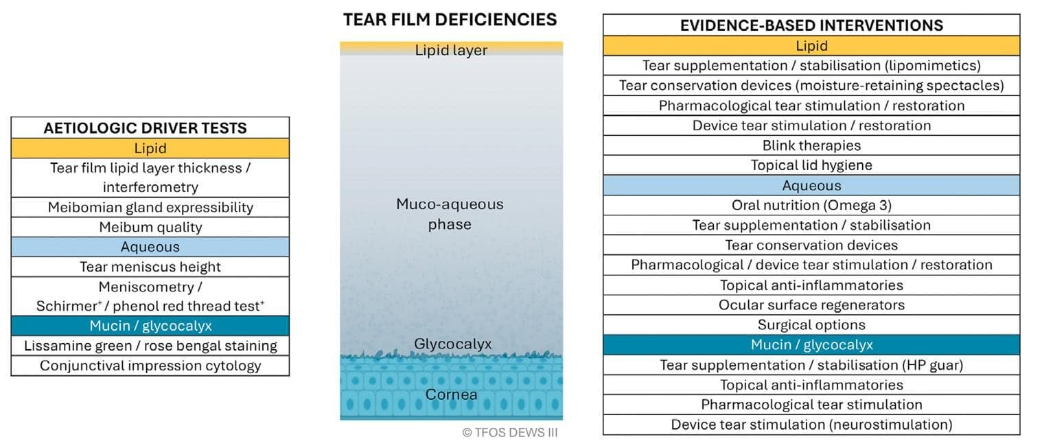 What’s In, What’s Out? DEWS III and the Future of Dry Eye Care