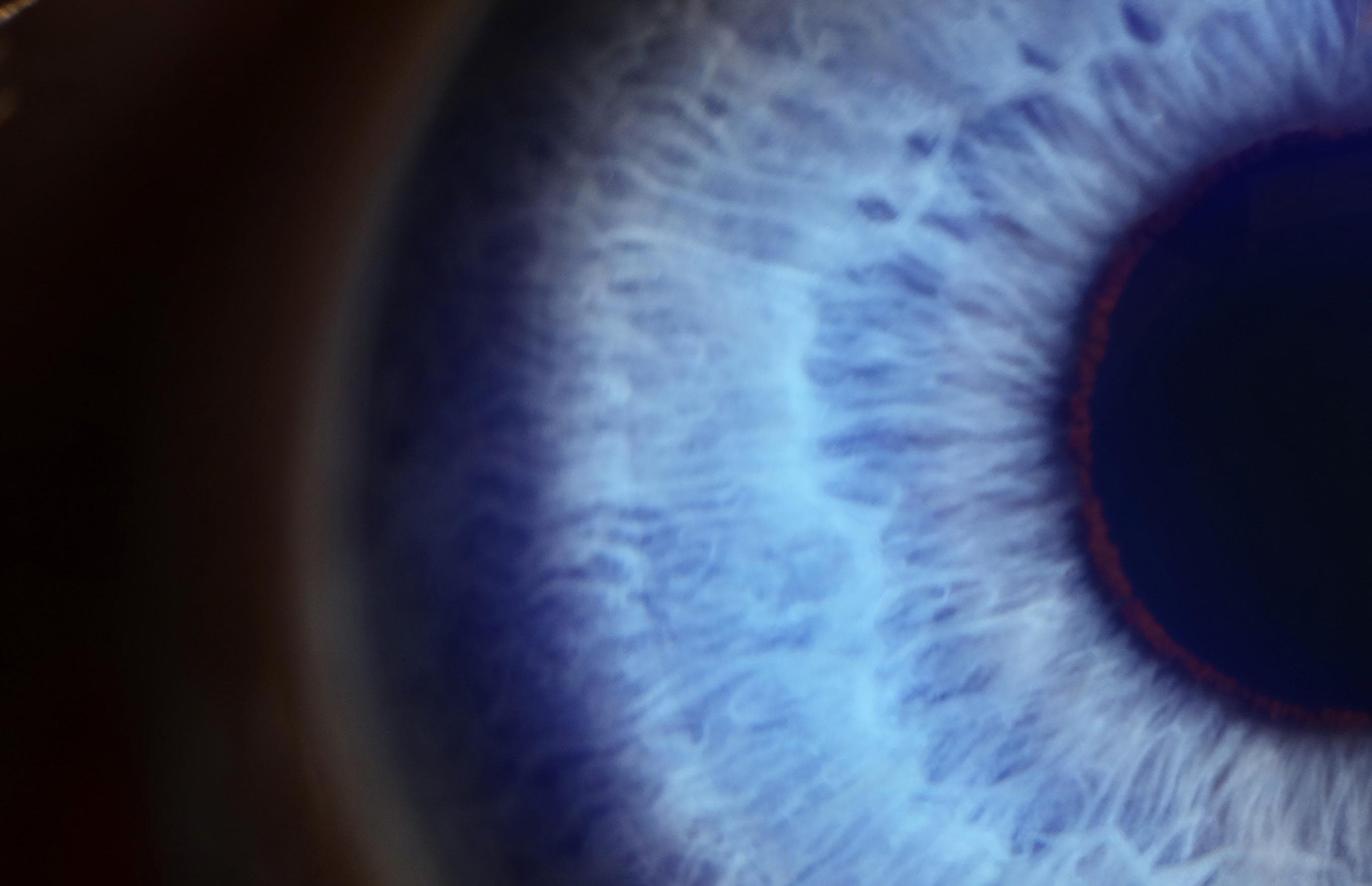 When Half a Disc Tells All