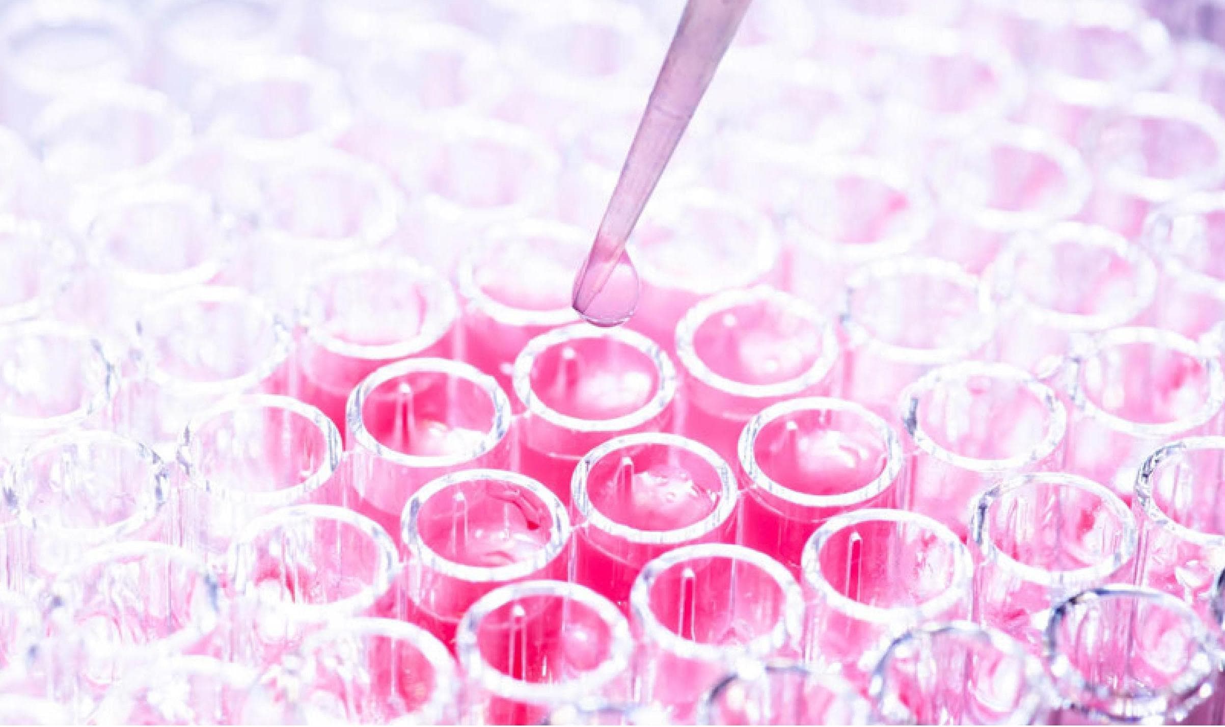 Closing the actionability gap: spatial cell sorting advances drug discovery & translational research