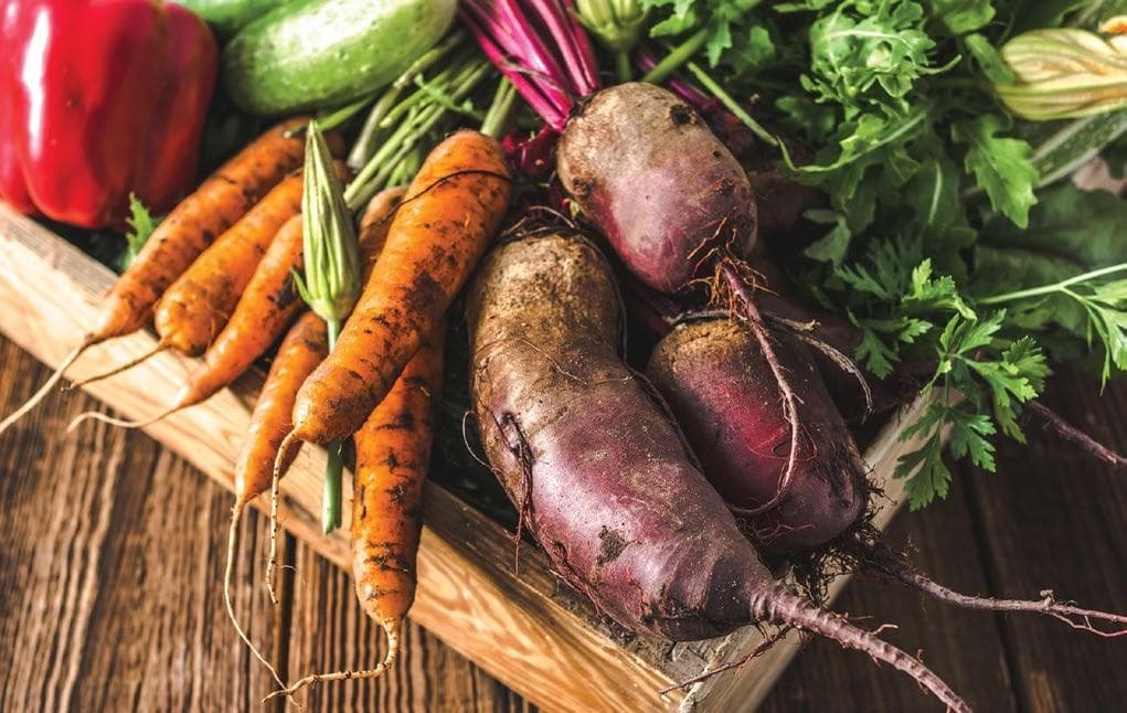 GROWER NEEDS SURVEY 2025 Listening to WA growers