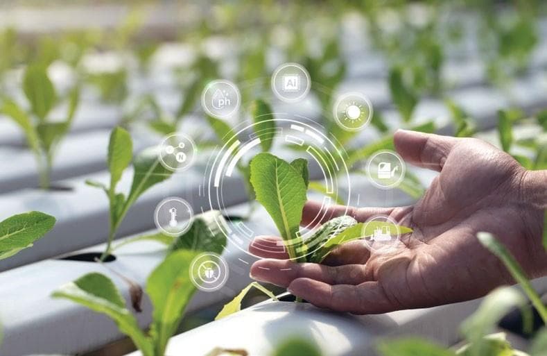 How ESG reporting requirements will IMPACT Australian farmers