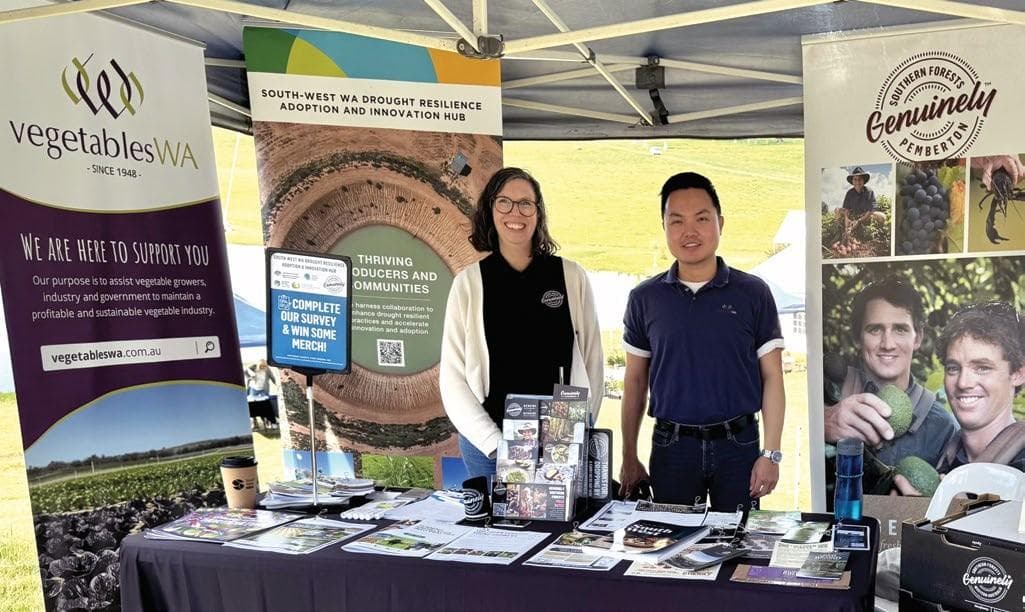 REGENERATION from the ground up