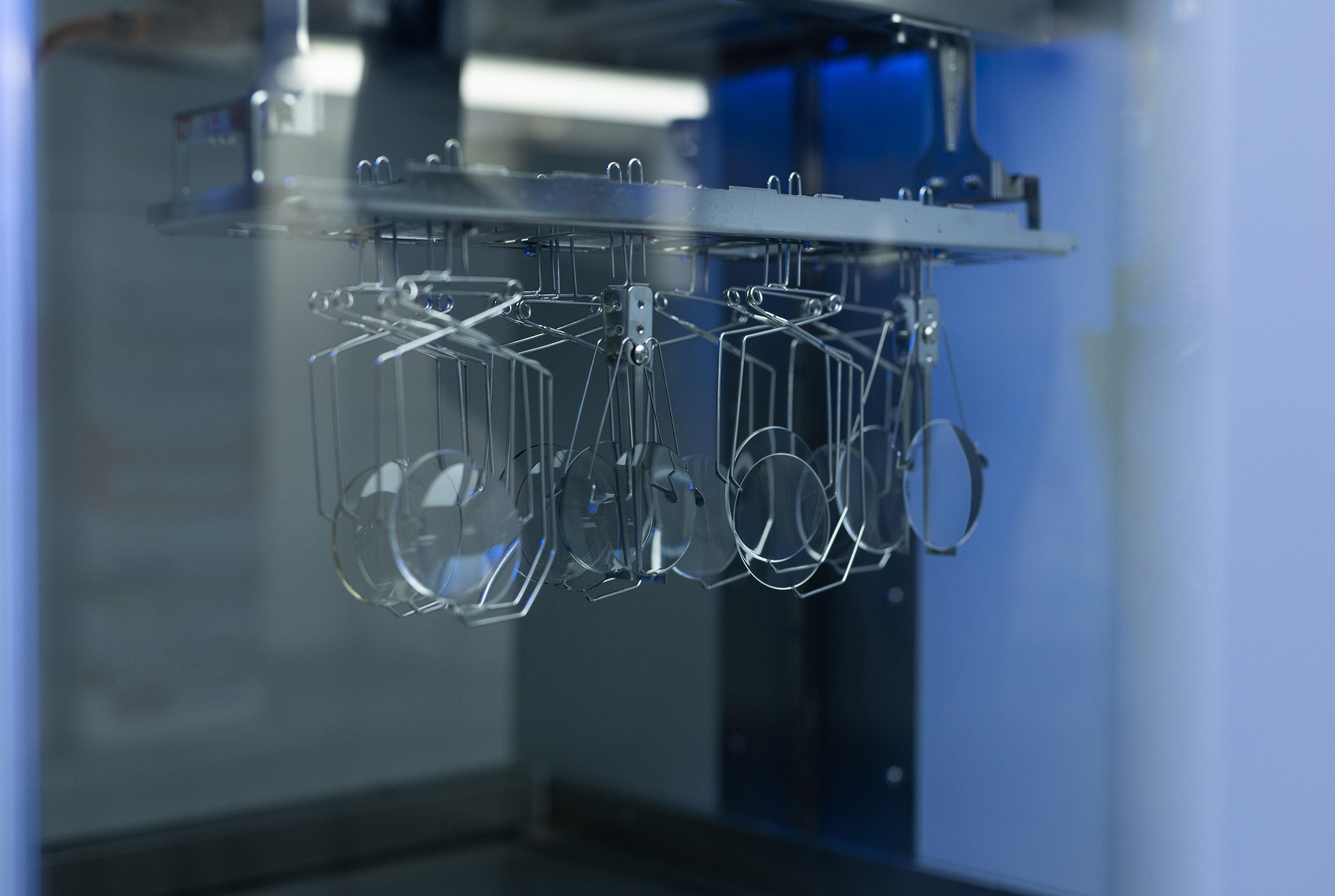 Local Lens Labs Optimising Your Options