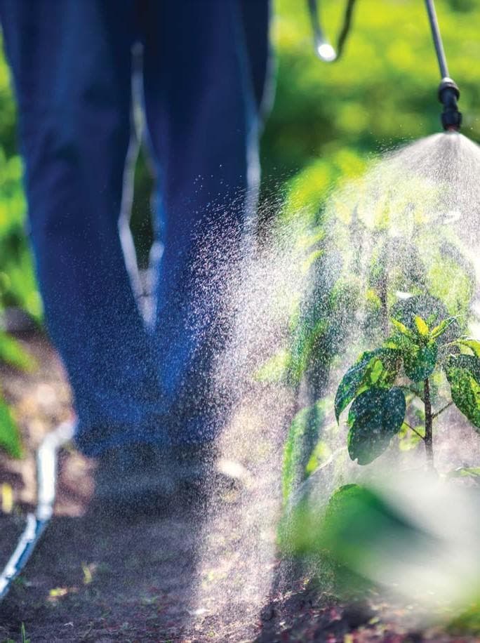 Current minor use PERMITS