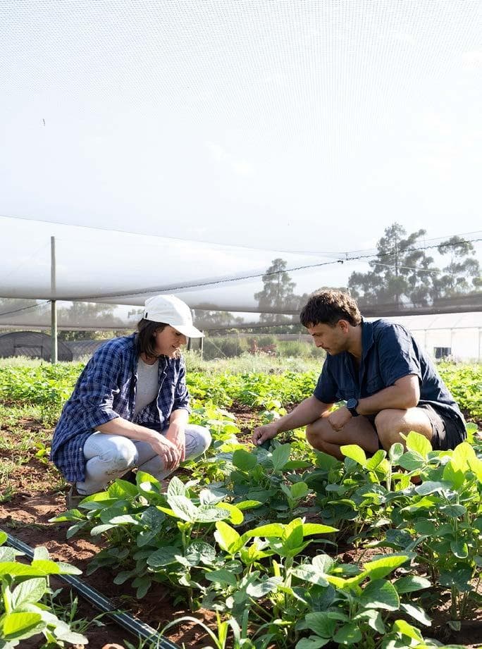 MAXIMISING VALUE of Australia’s fruit and vegetables