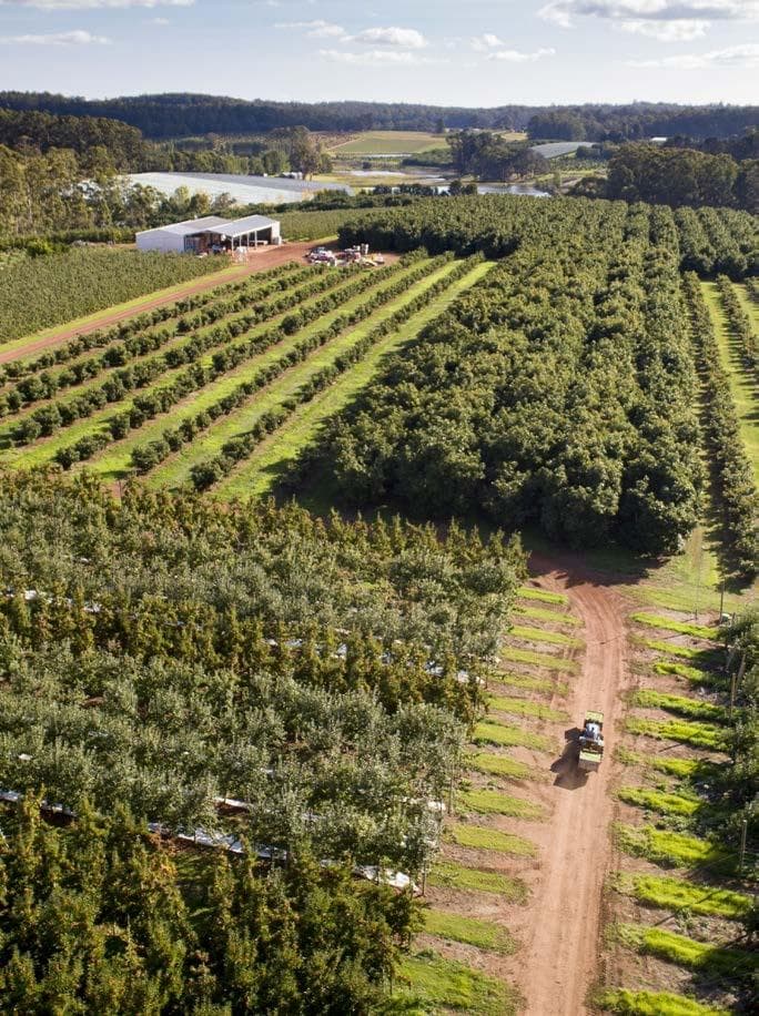 Powering a $750 MILLION REGION