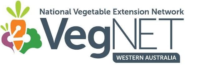 INNOVATION, TRAINING AND TRANSITION