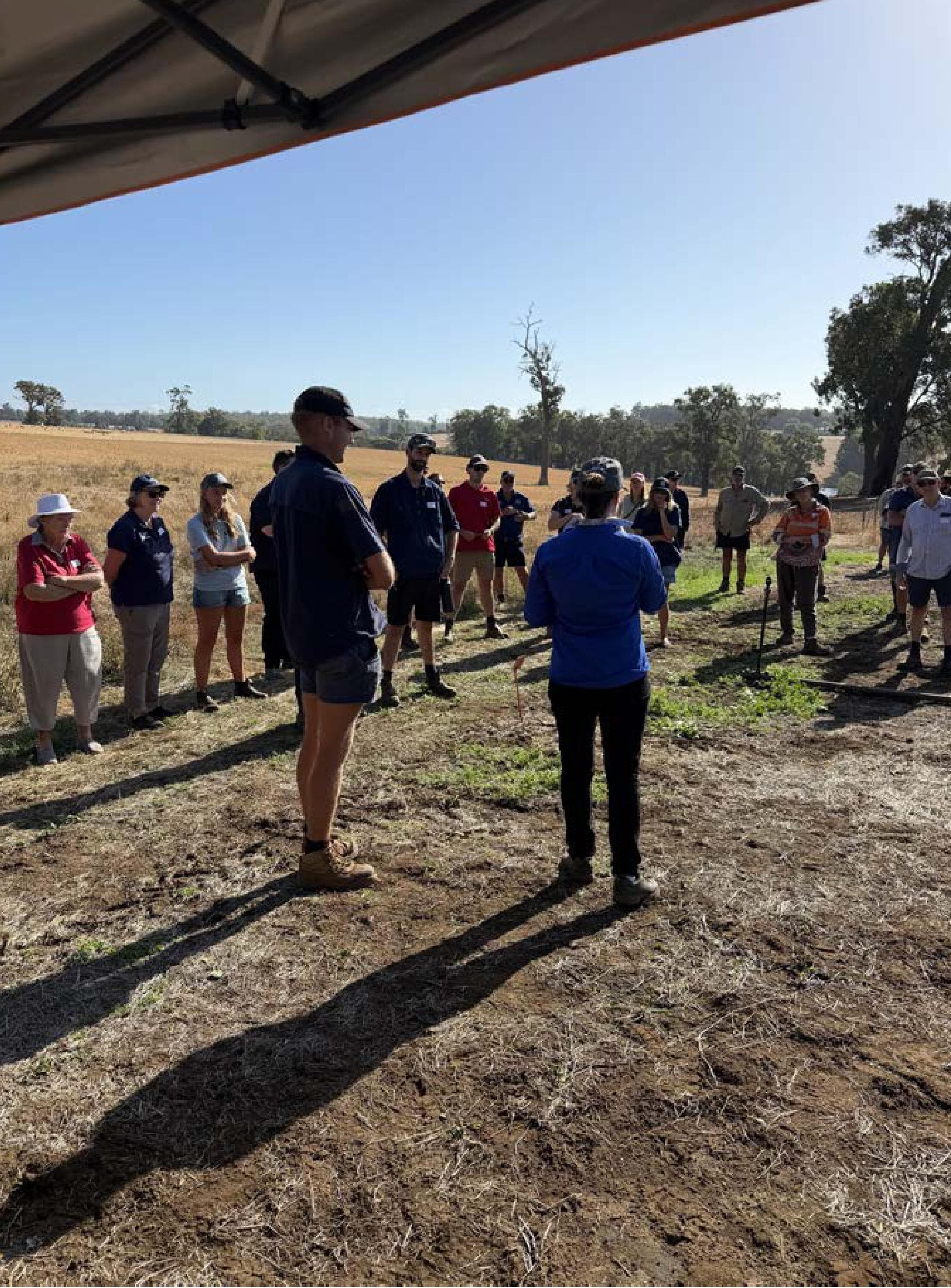 AI SPRAYING made by growers, for growers