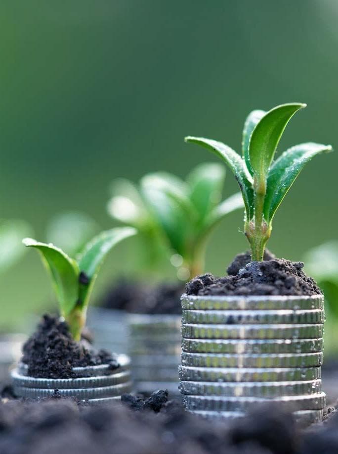 OUR WELLBEING and money