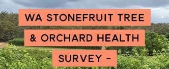 Understanding today to plan for TOMORROW