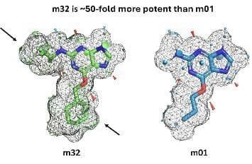 Optibrium introduces graphical interface for QuanSA to enhance ligand-based affinity predictions