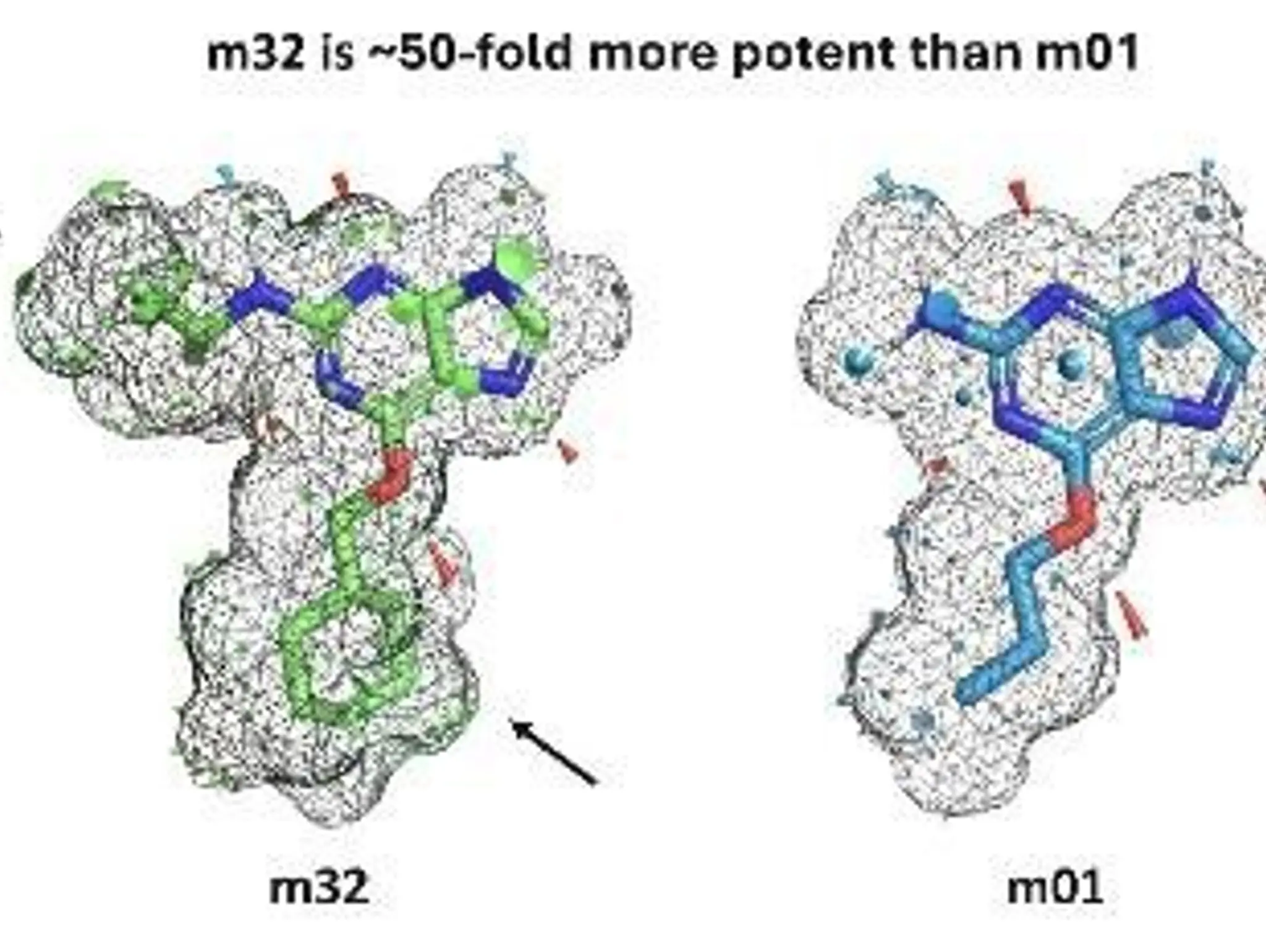 Optibrium introduces graphical interface for QuanSA to enhance ligand-based affinity predictions