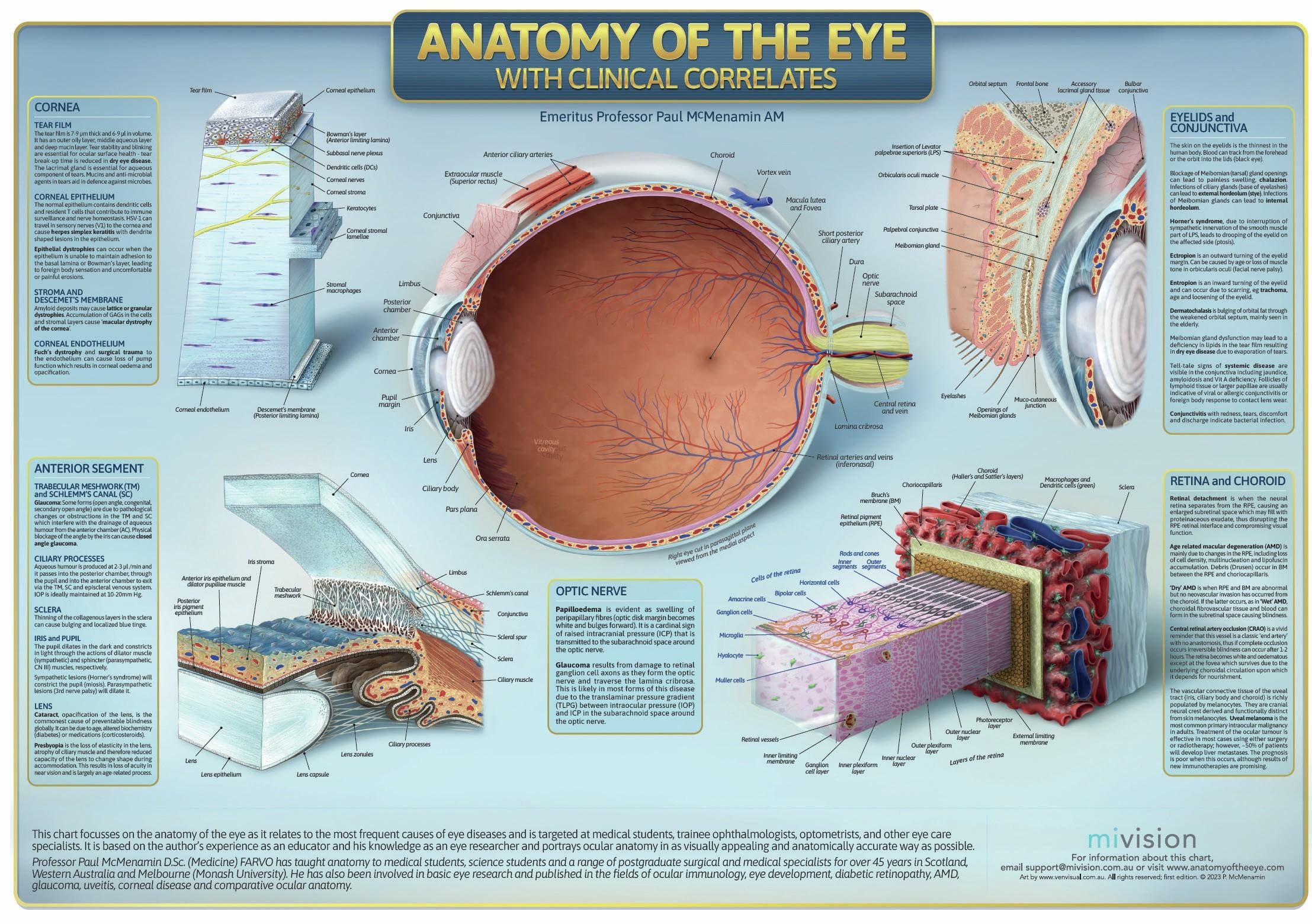 Anatomy of the Eye with Clinical Correlates Poster