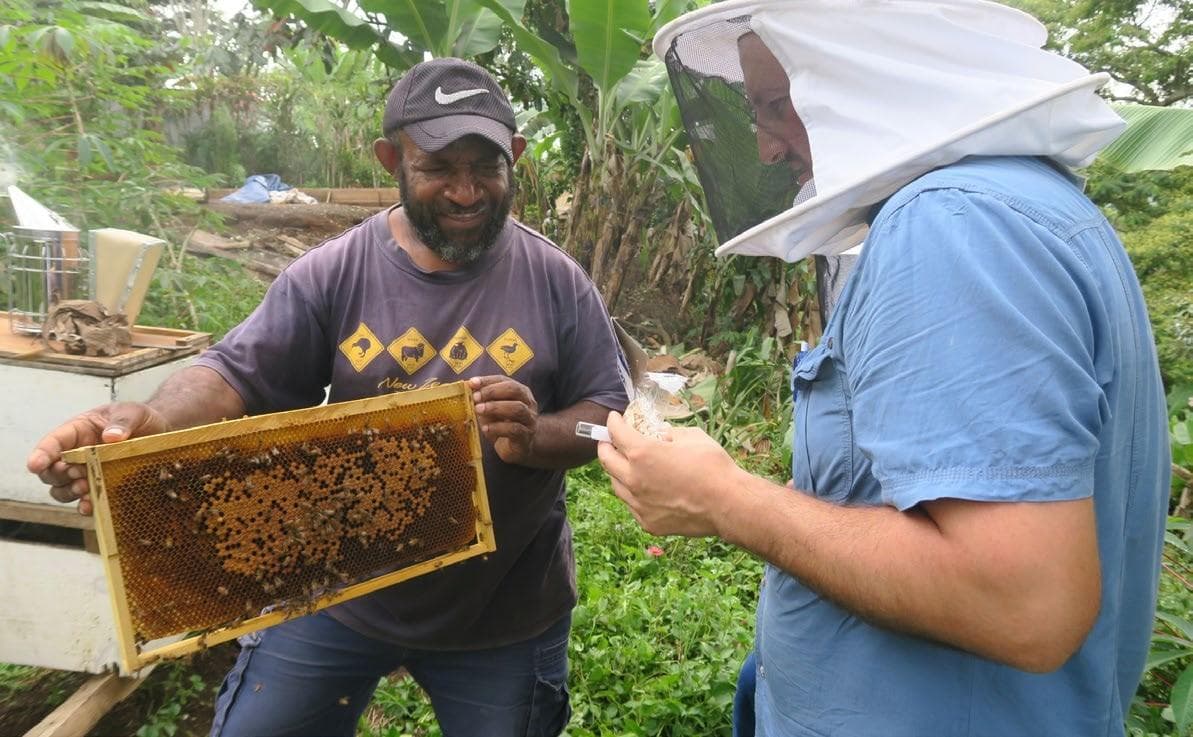 FLORAL DIVERSITY SHAPES HONEY BEE NUTRITION