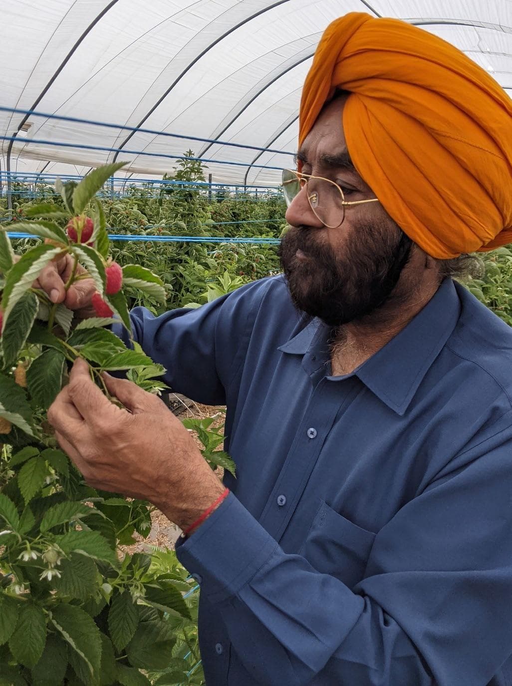 Earns global honour in horticultural science