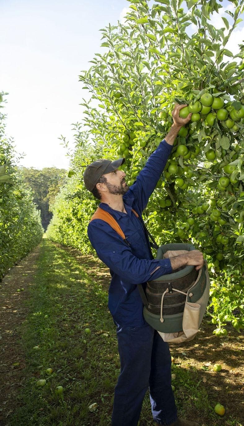 14 years of backing SOUTHERN FORESTS GROWERS