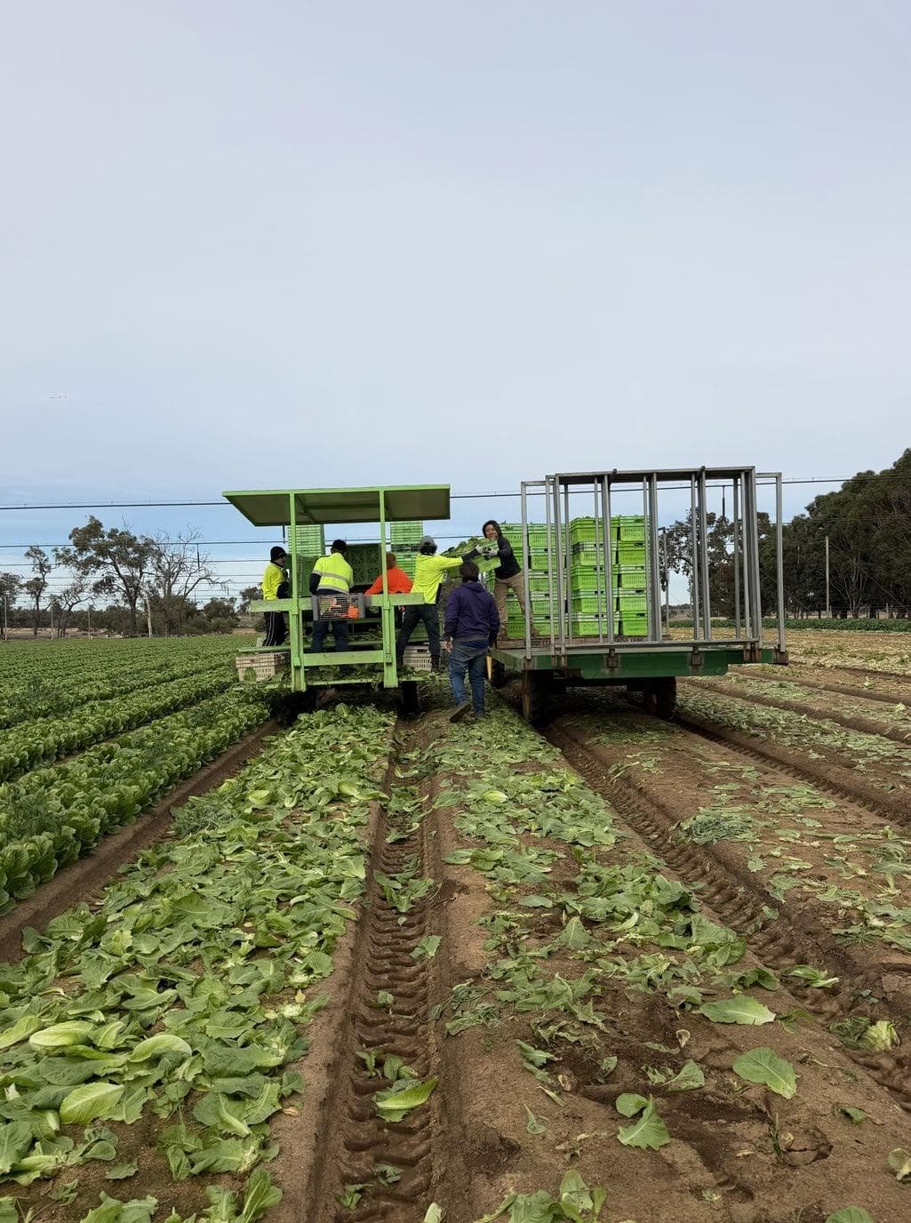 A STRONG winter of connection, innovation and industry engagement