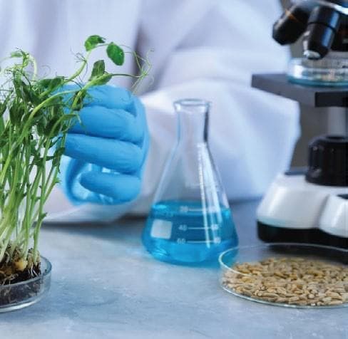GROWING THE FUTURE OF AGRICULTURE in regional WA