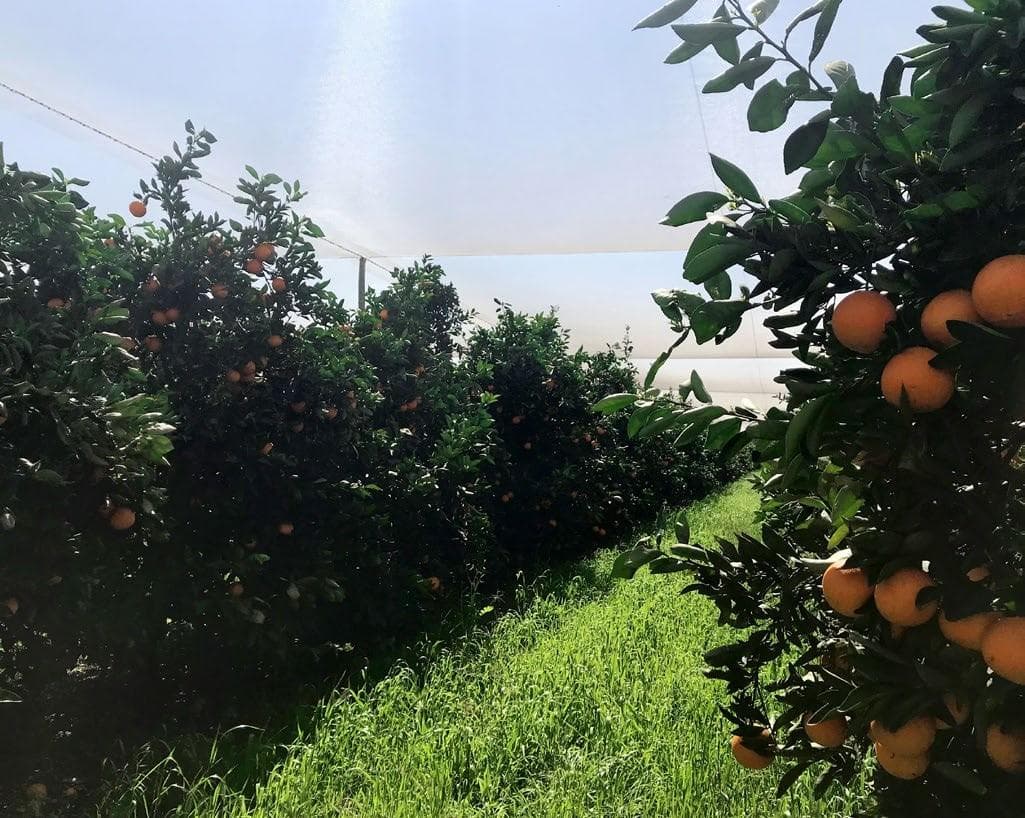 What five years of harvest data reveals