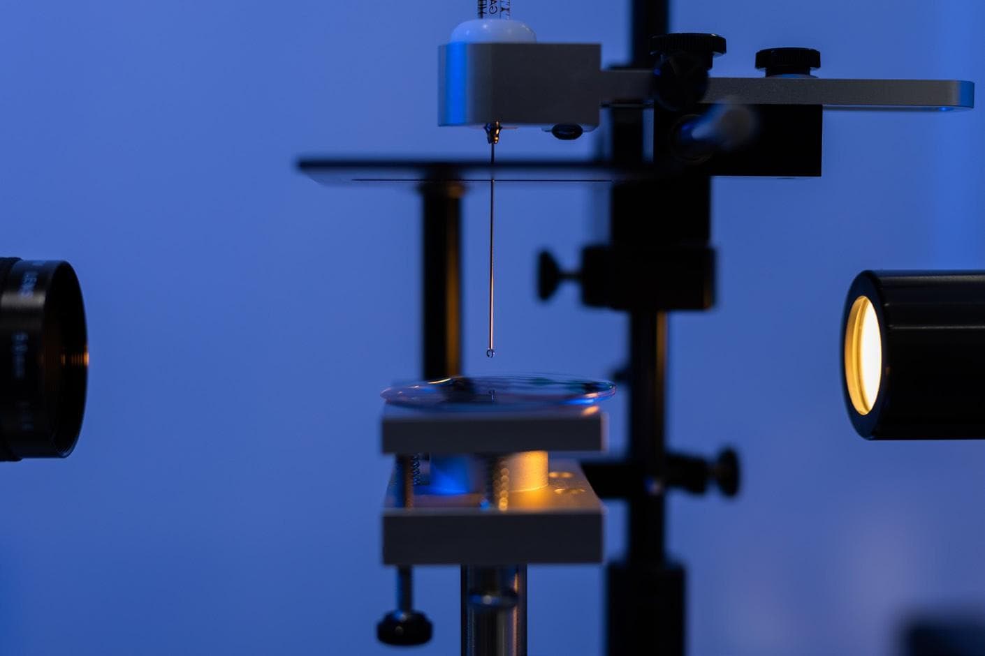 50 Years On: CR Labs Committed to Growth (BELOW)