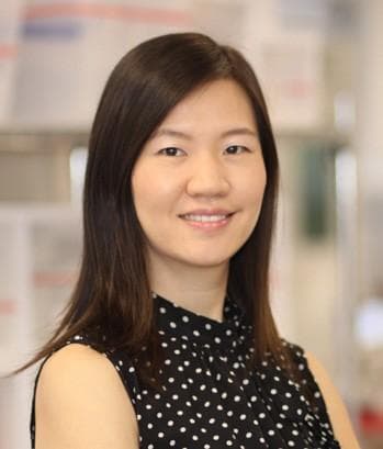 Implementing iPSC-derived models in drug development workflows