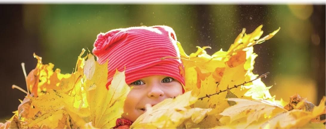 Autumn safety: slips, trips and falls